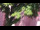 Webcam in Rottweil, 8.1 mi away