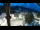 Webcam in Niederdorf, 0.9 mi away