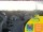 Webcam in Lübbenau, 0.7 mi away