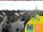 Webcam in Lübbenau, 34.2 km entfernt