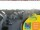 Webcam in Lübbenau, 13.2 mi away