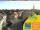 Webcam in Lübbenau, 30.7 km