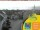 Webcam in Lübbenau, 30.2 km