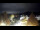 Webcam in Owingen, 14.5 km entfernt