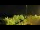Webcam in Bromont, 32.1 mi away