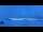 Webcam in Zermatt, 5.6 km