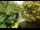 Webcam in Nesmy, 50.3 km entfernt