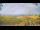 Webcam in Kelsey Creek, 1867.1 km
