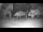 Webcam in Kelsey Creek, 41.9 mi away