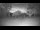 Webcam in Kelsey Creek, 227.8 km