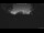 Webcam in Kelsey Creek, 749.5 mi away