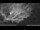 Webcam in Kelsey Creek, 749.5 mi away