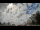 Webcam in Kelsey Creek, 185.1 mi away