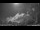 Webcam in Kelsey Creek, 749.5 mi away
