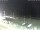 Webcam in Esbjerg, 44.1 mi away