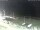 Webcam in Esbjerg, 18.2 mi away