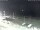 Webcam in Esbjerg, 36.8 mi away
