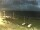 Webcam in Esbjerg, 6.3 mi away