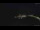 Webcam in Lindos (Rodi), 33.8 km