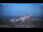 Webcam in Serifos Chora, 46.3 km