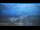 Webcam in Serifos Chora, 83.8 km entfernt