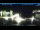 Webcam in Parga, 120.5 km