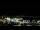Webcam in Auckland, 1.4 mi away
