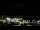 Webcam in Auckland, 6 km