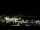 Webcam in Auckland, 0.7 mi away