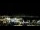Webcam in Auckland, 4.8 km