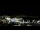 Webcam in Auckland, 1.4 mi away