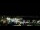 Webcam in Auckland, 1.4 mi away