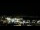 Webcam in Auckland, 1.4 mi away