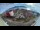 Webcam in Barentsburg (Spitsbergen), 14.4 mi away