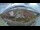 Webcam in Barentsburg (Spitzbergen), 107.5 km entfernt
