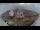 Webcam in Barentsburg (Spitsbergen), 14.1 mi away