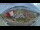 Webcam in Barentsburg (Spitzbergen), 46.3 km entfernt
