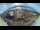 Webcam in Barentsburg (Spitsbergen), 23.5 mi away