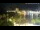 Webcam in Javea, 19.2 km entfernt