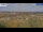 Webcam in Halberstadt, 0 km