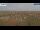 Webcam in Halberstadt, 33.5 km entfernt