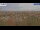 Webcam in Halberstadt, 12.9 mi away