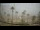 Webcam in San Luis de Sabinillas, 264.1 km entfernt