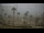 Webcam in San Luis de Sabinillas, 264.1 km