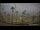 Webcam in San Luis de Sabinillas, 26.1 km entfernt