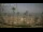 Webcam in San Luis de Sabinillas, 53.2 km entfernt