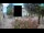 Webcam in Mošćenička Draga, 3 mi away