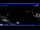 Webcam in Moneglia, 0.2 mi away