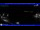 Webcam in Moneglia, 11.2 km