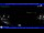Webcam in Moneglia, 7.7 km